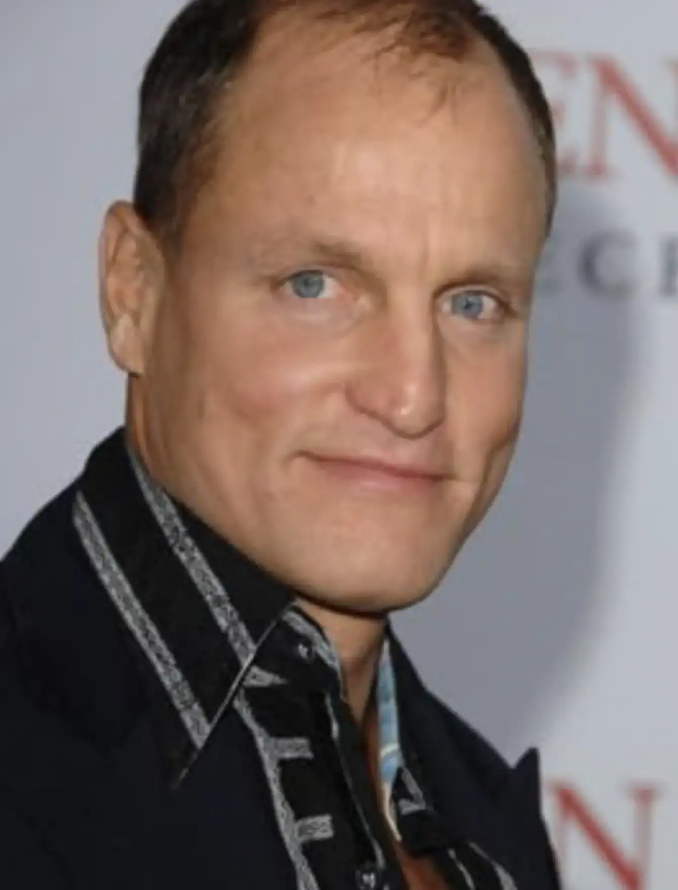 Woody Harrelson comme Haymitch Abernathy